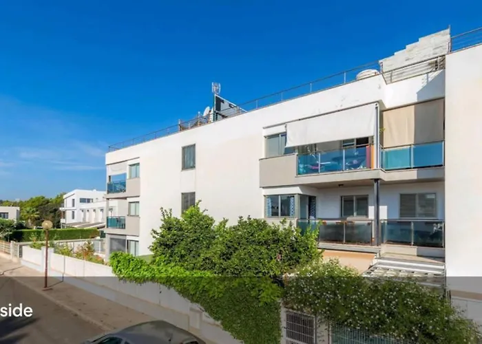 Bright Picafort 캔 피카폴트